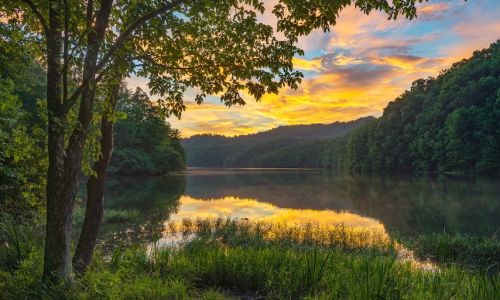 Lake and trees in evening.