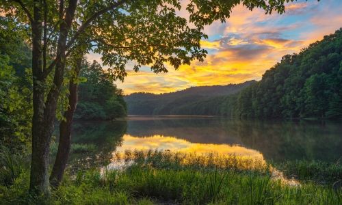 Lake and trees in evening.